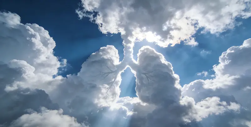 济南肺癌靶向120基因检测及PDL122C3表达检测套餐（组织）图片1