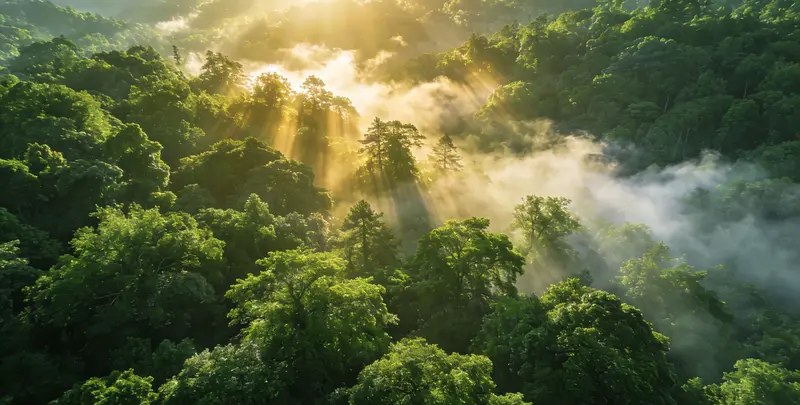 济南肺癌8基因突变检测（组织）图片1