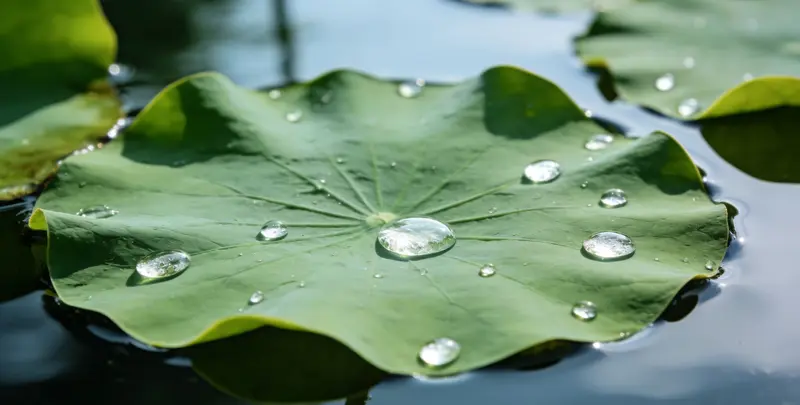 济南乳腺癌21基因mRNA表达分析图片1