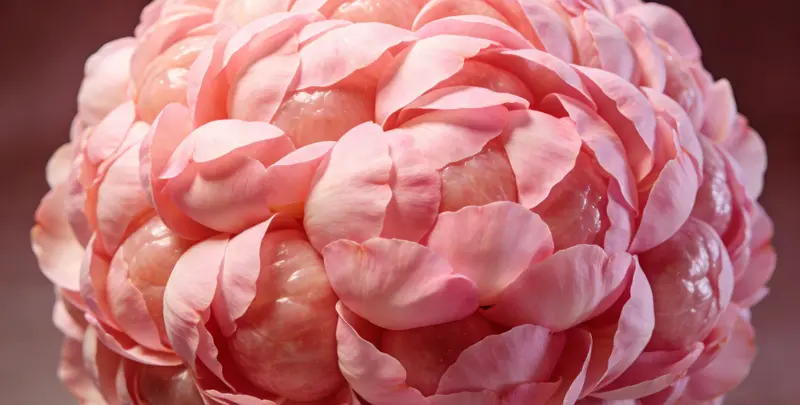 济南BRCA1/2乳腺癌卵巢癌基因检测图片1