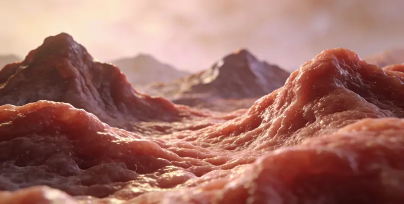 食管癌甲基化检测图2